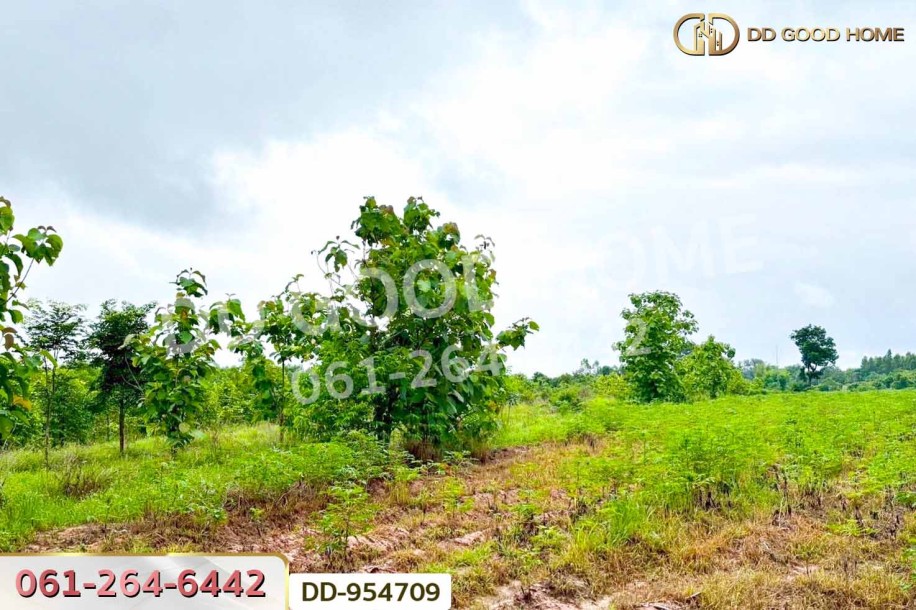 ที่ดินศาลาลำดวน 3 ไร่ 69.5 ตร.ว. สระแก้ว ใกล้โรงเรียนบ้านท่าช้าง-6