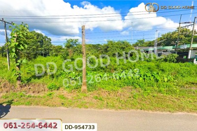 ที่ดินบ้านต๋อม 4 ไร่ 280.8 ตร.ว พะเยา ใกล้สถาบันวิทยาการจัดการแห่งแปซิฟิค