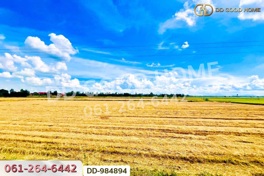 ที่ดินเกยไชย 30 ไร่ 347 ตร.ว. ชุมแสง นครสวรรค์ ใกล้ที่ว่าการอำเภอชุมแสง.-4