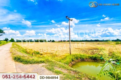 ที่ดินเกยไชย 30 ไร่ 347 ตร.ว. ชุมแสง นครสวรรค์ ใกล้ที่ว่าการอำเภอชุมแสง.