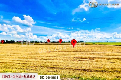 ที่ดินเกยไชย 30 ไร่ 347 ตร.ว. ชุมแสง นครสวรรค์ ใกล้ที่ว่าการอำเภอชุมแสง.