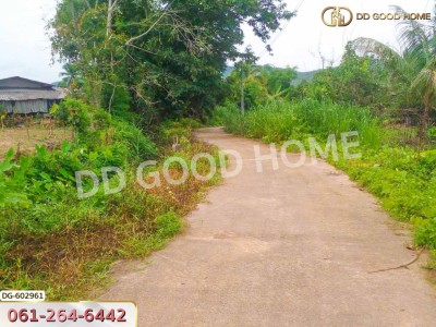 ที่ดิน อ.เชียงดาว 2 ไร่ 304 ตร.ว. เชียงใหม่