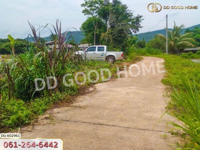 ที่ดิน อ.เชียงดาว 2 ไร่ 304 ตร.ว. เชียงใหม่