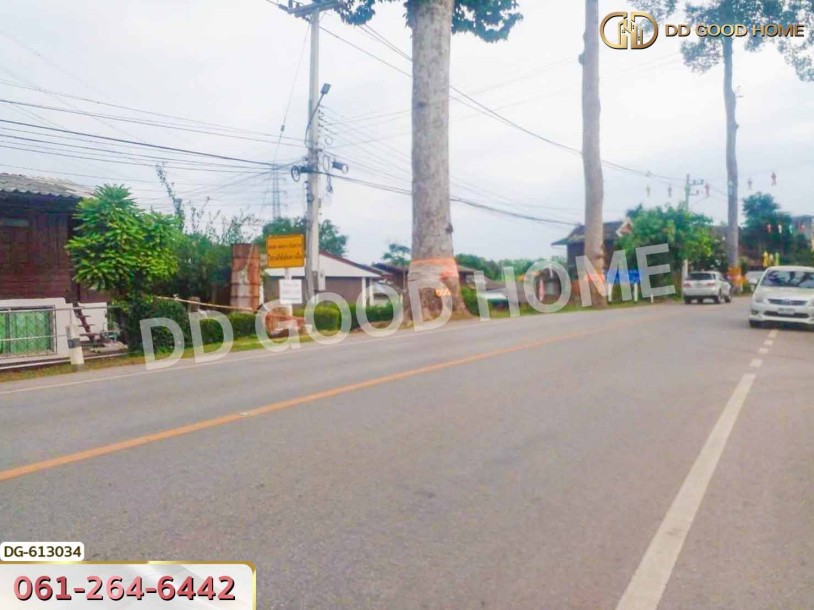 ที่ดิน อ.สารภี 3 ไร่ 197 ตร.ว. เชียงใหม่-8