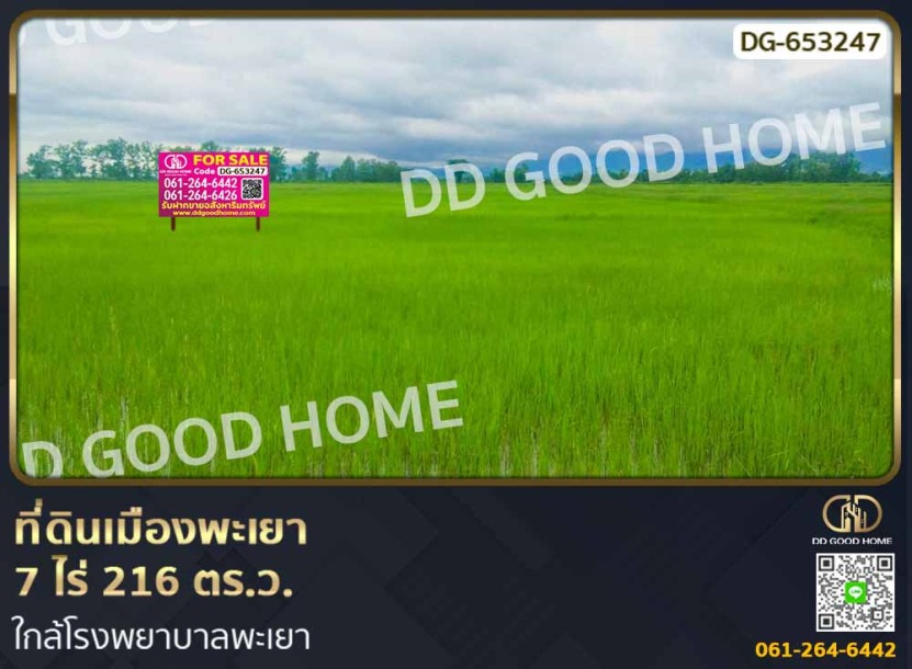 ที่ดินเมืองพะเยา 7 ไร่ 216 ตร.ว. ใกล้โรงพยาบาลพะเยา.-1