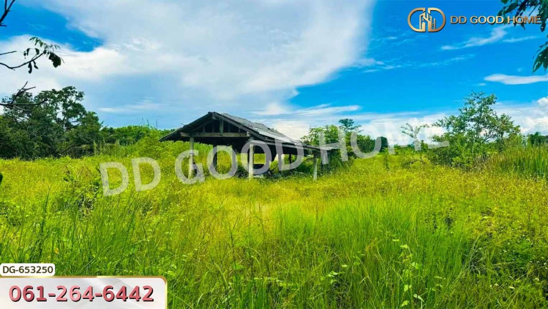 ที่ดินเมืองลำพูน 4 ไร่ 392 ตร.ว. ใกล้วิทยาลัยเทคโนโลยีหมู่บ้านครูภาคเหนือ-5