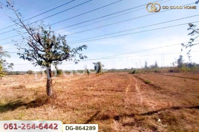 ที่ดินพรรณานิคม 14 ไร่ 196 ตร.ว. สกลนคร ใกล้วัดป่าแสนสุข
