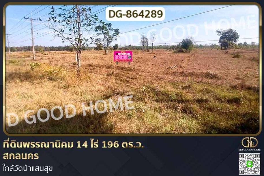 ที่ดินพรรณานิคม 14 ไร่ 196 ตร.ว. สกลนคร ใกล้วัดป่าแสนสุข-1