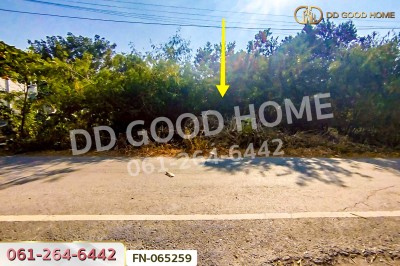 ที่ดินเกาะลอย 8 ไร่ 226 ตร.ว.พระนครศรีอยุธยา ใกล้สถานีรถไฟอยุธยา