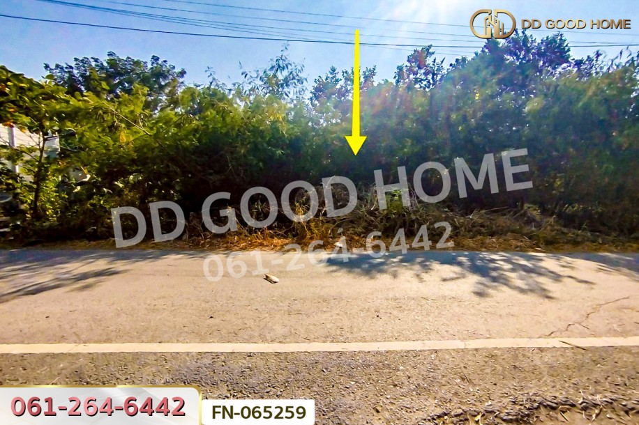 ที่ดินเกาะลอย 8 ไร่ 226 ตร.ว.พระนครศรีอยุธยา ใกล้สถานีรถไฟอยุธยา-4