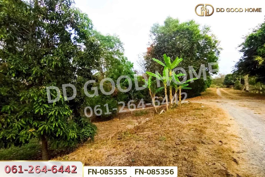ที่ดินเขาเพิ่ม 3 ไร่ 156.1 ตร.ว. นครนายก ใกล้ปิ่นโตคาเฟ่-6