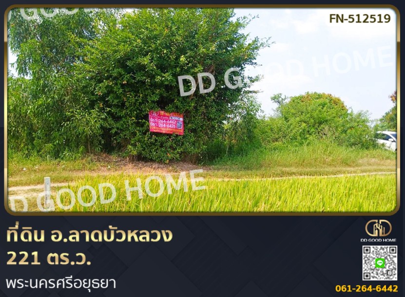 ❌SOLD OUT❌ที่ดิน อ.ลาดบัวหลวง 221 ตร.ว. พระนครศรีอยุธยา-1