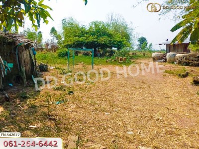 ที่ดิน อ.หนองมะโมง 5 ไร่ ชัยนาท-3