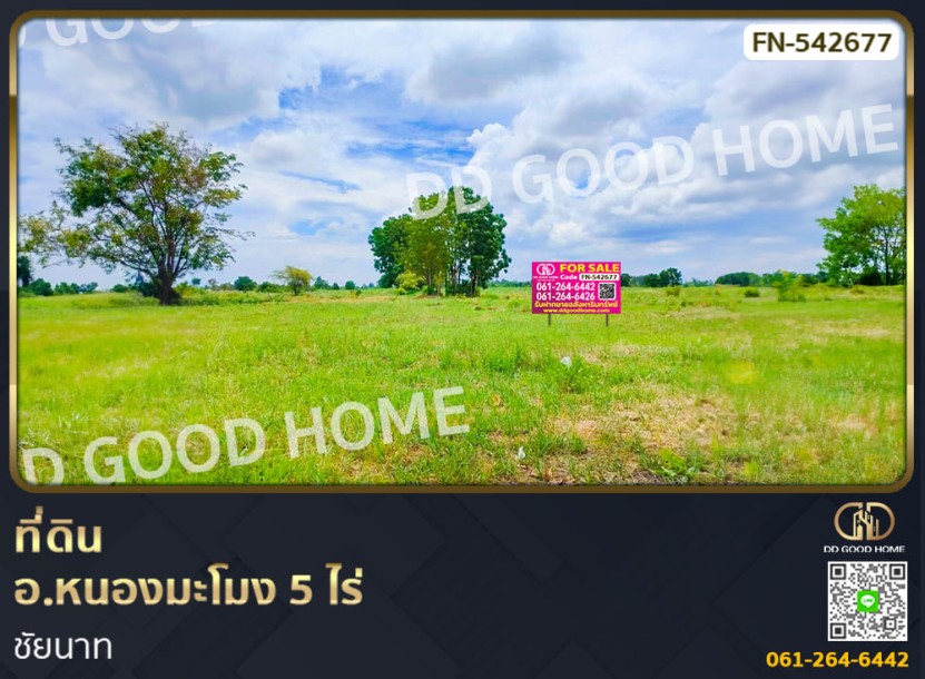 ที่ดิน อ.หนองมะโมง 5 ไร่ ชัยนาท-1