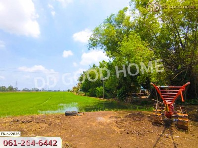 ที่ดิน อ.บางไทร 35 ไร่ 308 ตร.ว. อยุธยา-6