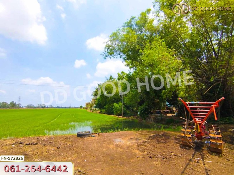 ที่ดิน อ.บางไทร 35 ไร่ 308 ตร.ว. อยุธยา-6