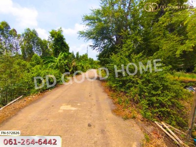 ที่ดิน อ.บางไทร 35 ไร่ 308 ตร.ว. อยุธยา-4