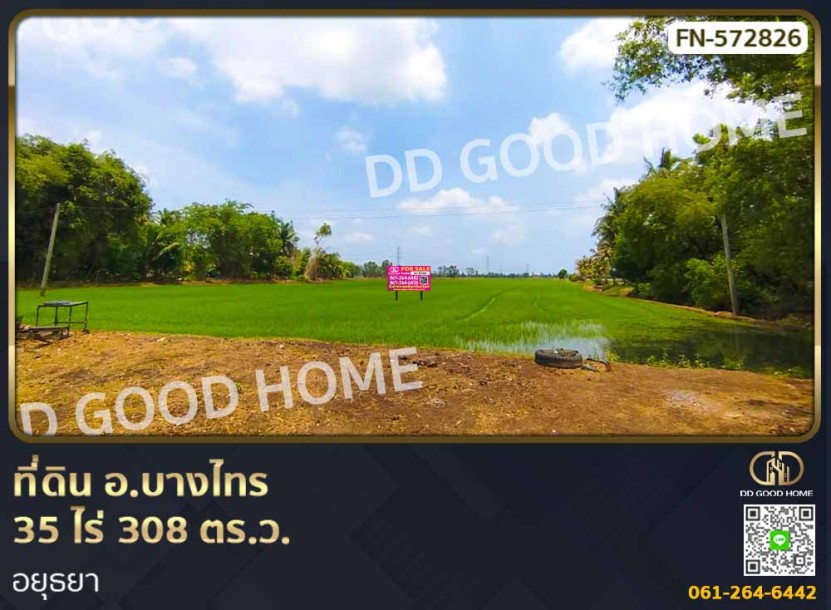 ที่ดิน อ.บางไทร 35 ไร่ 308 ตร.ว. อยุธยา-1