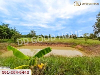 ที่ดินดอนเจดีย์ 1 ไร่ 352 ตร.ว. สุพรรณบุรี ใกล้วัดดอนเจดีย์-6