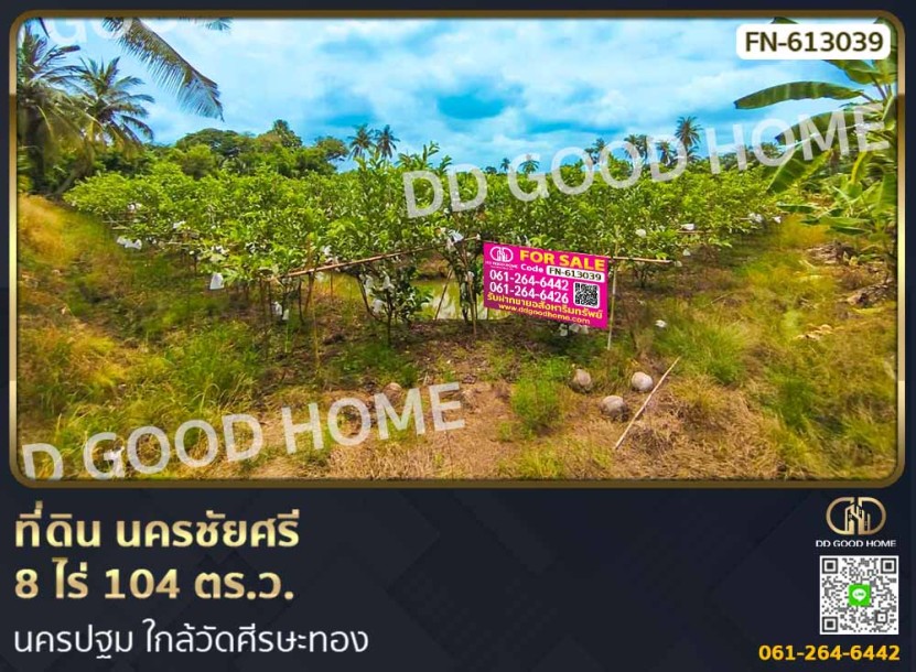 ที่ดิน นครชัยศรี 8 ไร่ 104 ตร.ว. นครปฐม ใกล้วัดศีรษะทอง.-1