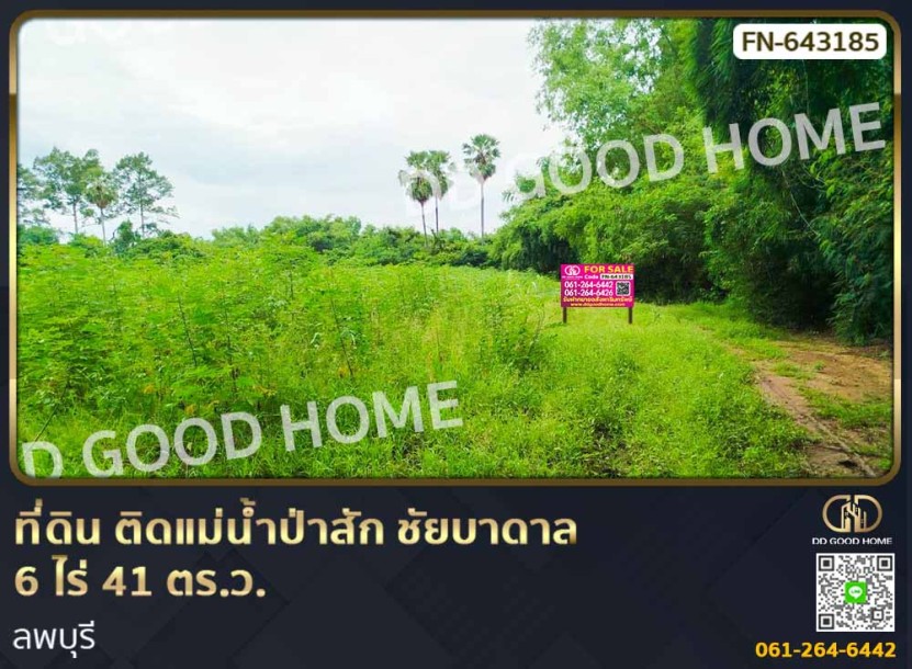 ที่ดิน ติดแม่น้ำป่าสัก ชัยบาดาล 6 ไร่ 41 ตร.ว. ลพบุรี-1