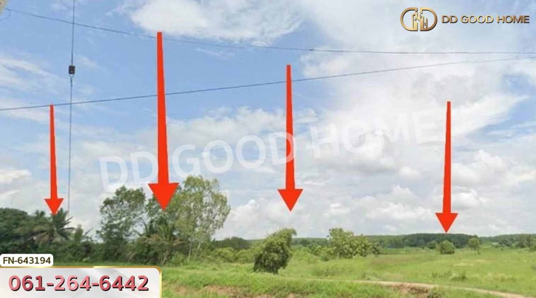ที่ดินคูเมือง 17 ไร่ 102 ตร.ว. บุรีรัมย์ ใกล้วัดโนนสมบูรณ์-3