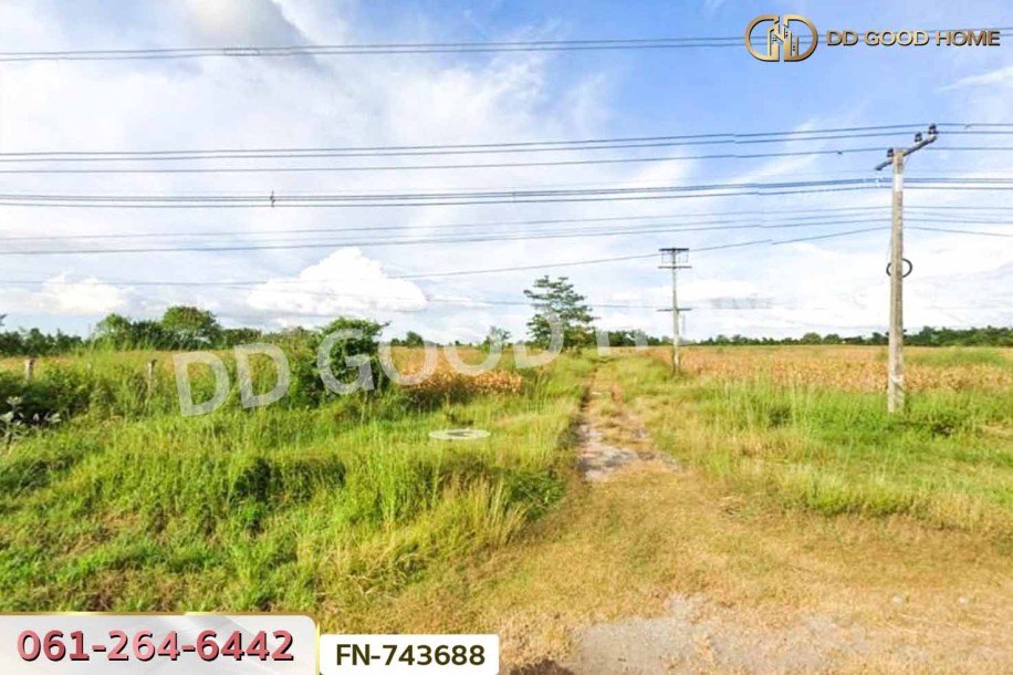 ที่ดินปักธงชัย 58 ไร่ 124 ตร.ว. ติดถนนปักธงชัย-เดชอุดม นครราชสีมา ใกล้ทางแยกต่างระดับปักธงชัย-5