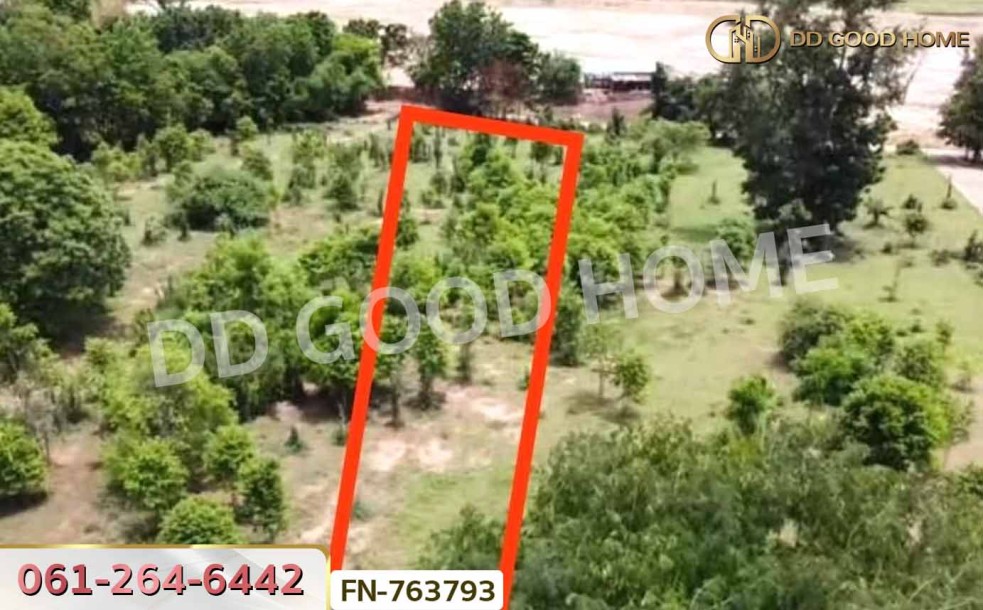 ที่ดินสีคิ้ว 336 ตร.ว. นครราชสีมา ใกล้สถานีอนามัยหนองจอก-3