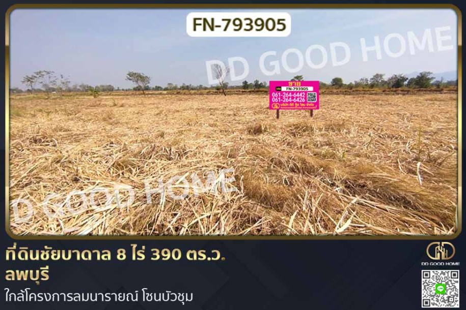 ที่ดินชัยบาดาล 8 ไร่ 390 ตร.ว. ลพบุรี ใกล้โครงการลมนารายณ์ โซนบัวชุม-1