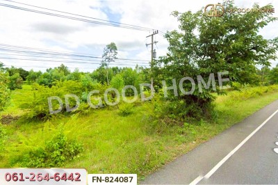 ที่ดินหัวตะพาน 2 ไร่ 206.3 ตร.ว. อำนาจเจริญ ใกล้โรงพยาบาลตะพานหิน