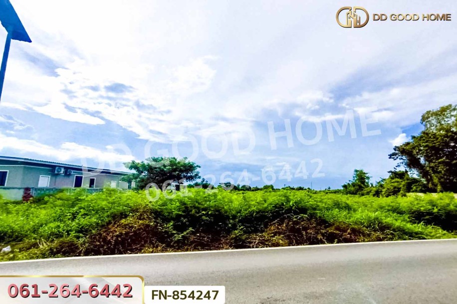 ที่ดินหนองดินแดง 16 ไร่ 283 ตร.ว. นครปฐม ใกล้วัดหนองดินแดง.-5