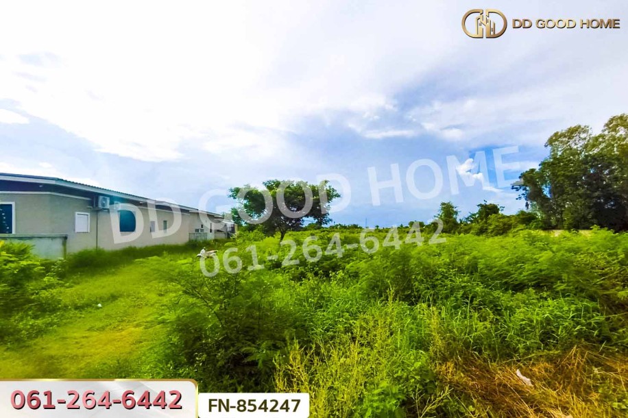 ที่ดินหนองดินแดง 16 ไร่ 283 ตร.ว. นครปฐม ใกล้วัดหนองดินแดง.-2