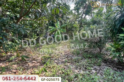 ที่ดินโครงการชลลดา บางบัวทอง 206 ตร.ว. นนทบุรี ใกล้เซ็นทรัลเวสต์เกต.