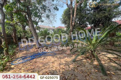 ที่ดินโครงการชลลดา บางบัวทอง 206 ตร.ว. นนทบุรี ใกล้เซ็นทรัลเวสต์เกต.