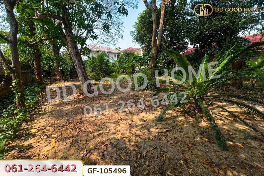 ที่ดินโครงการหมู่บ้านชลลดา 206 ตร.ว. บางบัวทอง นนทบุรี ใกล้สำนักงานเทศบาลนครบางบัวทอง-8