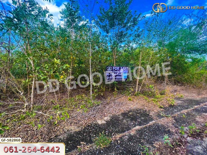 ที่ดิน อ.บางเลน 1 ไร่ 12 ตร.ว. นครปฐม-4