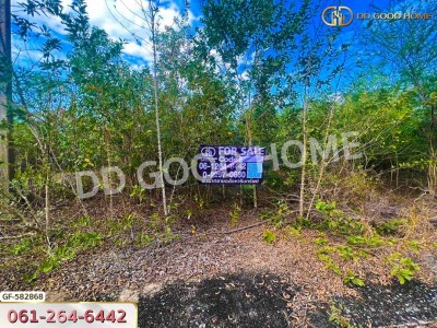 ที่ดิน อ.บางเลน 1 ไร่ 12 ตร.ว. นครปฐม