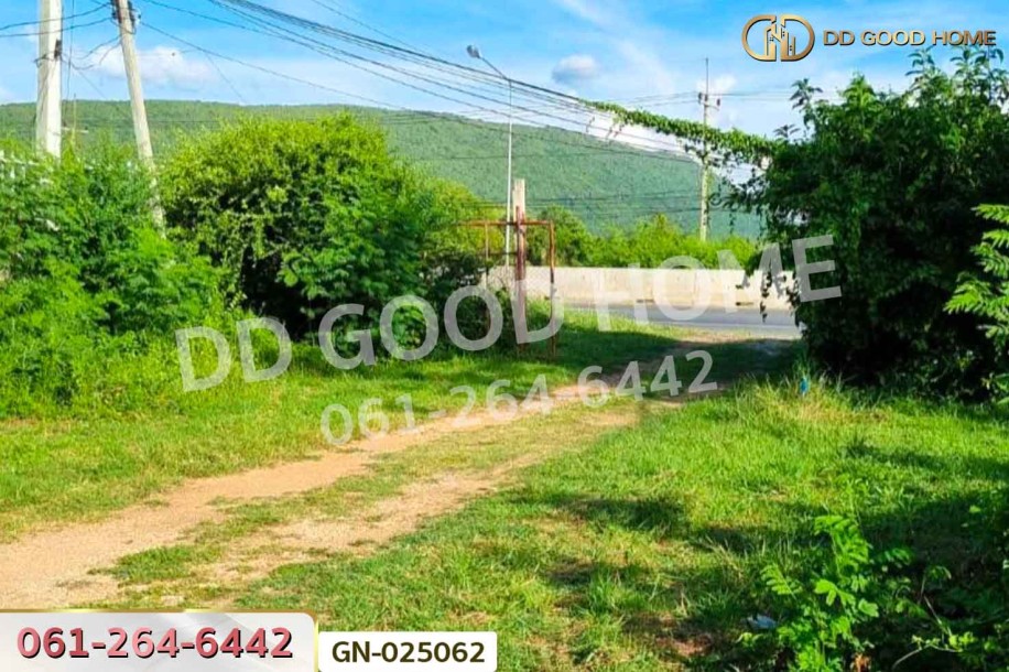 ที่ดินโคกสำโรง 10 ไร่ 259 ตร.ว. ถ.สุรนารายณ์ ลพบุรี ใกล้วัดเขาวงพระจันทร์-9