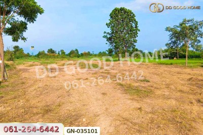 ที่ดินภูเขียว 7 ไร่ 190 ตร.ว. ชัยภูมิ ใกล้วิทยาลัยเทคโนโลยีบริหารธุรกิจศิขรินทร์