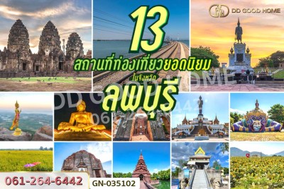 ที่ดินโคกสำโรง 1 ไร่ ลพบุรี ใกล้วัดมะม่วงเจ็ดต้น.