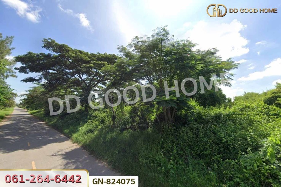 ที่ดินบ้านกอก 170 ตร.ว. ชัยภูมิ ใกล้สถานีรถไฟแห่งประเทศไทย สถานีจัตุรัส.-4