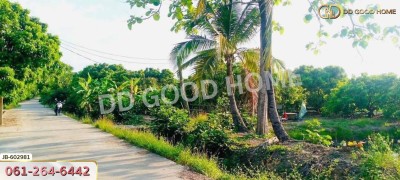 ที่ดิน อ.สันป่าตอง 2 ไร่ 338 ตร.ว. เชียงใหม่