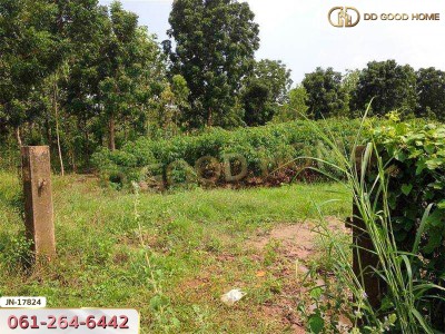 ที่ดิน อ.ด่านมะขามเตี้ย 4 ไร่ 399.7 ตร.ว. หมู่บ้านยุติธรรม ถ.แม่น้ำแม่กรอง กาญจนบุรี