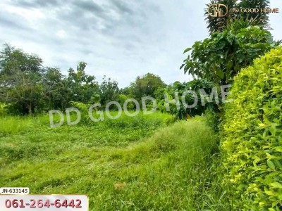 ที่ดินหนองแขม ซอย เพชรเกษม 79แยก9 124 ตร.ว. ใกล้เดอะมอลล์บางแค