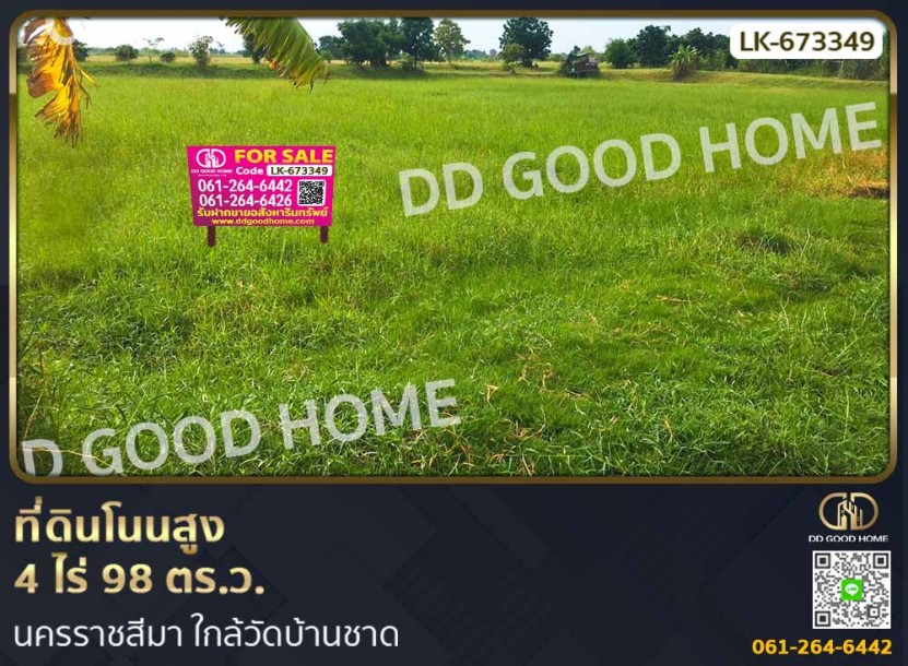 ที่ดินโนนสูง 4 ไร่ 98 ตร.ว. นครราชสีมา ใกล้วัดบ้านชาด-1