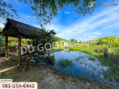 ที่ดินบ้านค่าย 2 ไร่ 24.6 ตร.ว. ระยอง ใกล้ ที่ว่าการอำเภอบ้านค่าย
