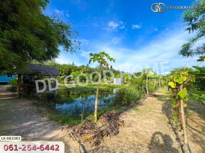 ที่ดินบ้านค่าย 2 ไร่ 24.6 ตร.ว. ระยอง ใกล้ ที่ว่าการอำเภอบ้านค่าย