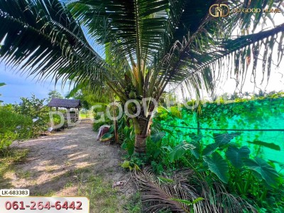 ที่ดินบ้านค่าย 2 ไร่ 24.6 ตร.ว. ระยอง ใกล้ ที่ว่าการอำเภอบ้านค่าย