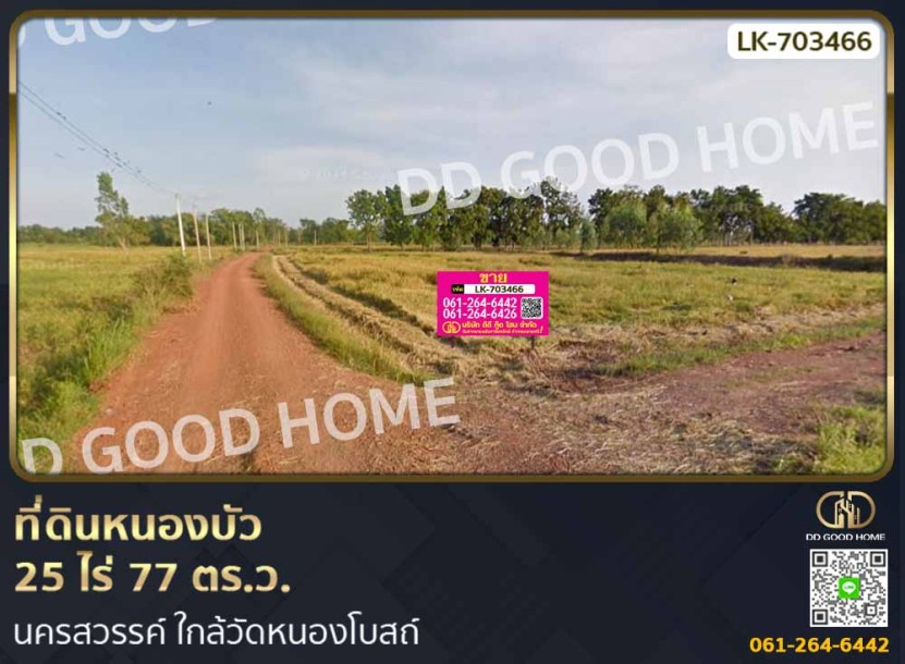 ที่ดินหนองบัว 25 ไร่ 77 ตร.ว. นครสวรรค์ ใกล้วัดหนองโบสถ์-1