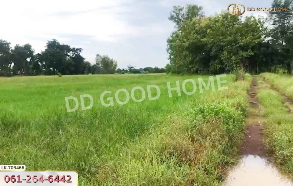 ที่ดินหนองบัว 25 ไร่ 77 ตร.ว. นครสวรรค์ ใกล้วัดหนองโบสถ์-9